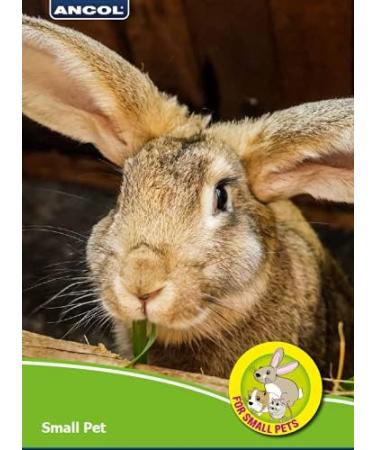 Anco Just 4 Pets Carrot Nibbles Chew Toy for Rabbits & Guinea Pigs - Buy Online on GoSupps.com