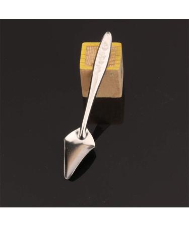 5Pcs Pet Bird Parrot Hand-Feeding Food Milk Powder Spoons Stainless Steel Spoons Bird Feeder - Buy Online on GoSupps.com