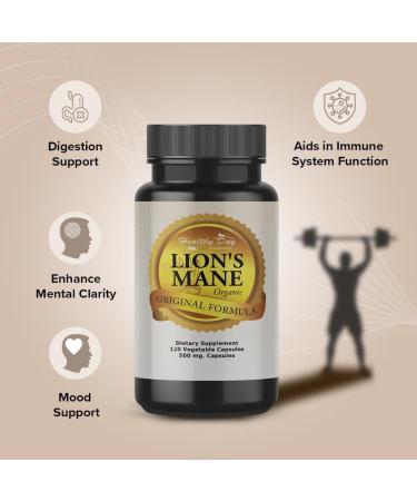 Healthy Day Supplements Lions Mane Mushroom Cognition Capsules - 120 Count | Organic Gluten Free Alpha Brain Supplement for Adults | Brain Vitamins & Focus Nootropic | Made in USA - Buy Online on GoSupps.com