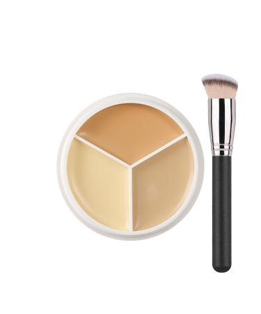 Concealer, 3-Color Concealer Make Up, Waterproof Leg Foundation, Full Cover Concealer Palette, Corrects Dark Circles Red Marks Scars (3# Blemish Eliminator, 4.5g)