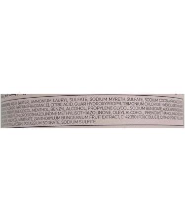 Inebrya Ice Cream Frequent Refreshing Mint Shampoo 1000 ml - Buy Online on GoSupps.com