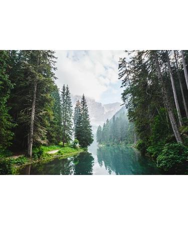  Conter Vidal Bagnodoccia Set of 12 bottles of shower gel Pino Classico Pine perfume 500 ml - Buy Online on GoSupps.com