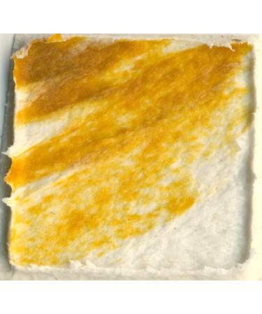 Golden Fiber Paste-32 ounce - Buy Online on GoSupps.com