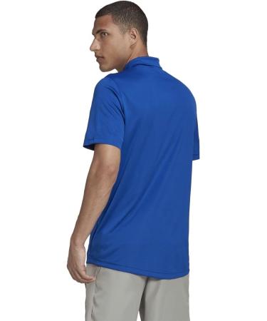Adidas Male Training Polo Shirt XL - Essentials Short Sleeve in Lucid Blue/Black | Shop Internationally - Buy Online on GoSupps.com