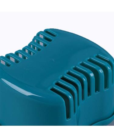 Strong Denture Case with Brush and Cups - Lake Green | Denture Holder and Retainer Cleaning Case - Buy Online on GoSupps.com