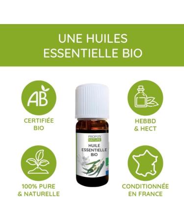 Extrait de Vanille Bourbon Bio - Ar me alimentaire - P tisserie - Ingr dient - Origine Madagascar - 100% naturel - 10 ml - Buy Online on GoSupps.com