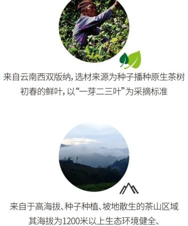 2017 Dovji Nannuo Big Tree Raw Pu-erh Tea Cake 357g from Yunnan - Buy Online on GoSupps.com