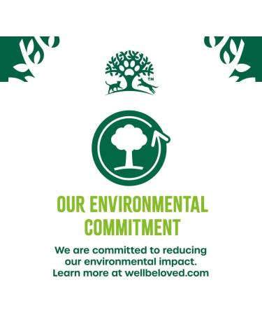 James Wellbeloved Cat Adult Hypoallergenic Dry Food Oral Care Turkey 10 kg - Buy Online on GoSupps.com