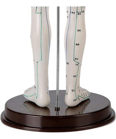 Female Acupuncture and Moxibustion Model 60cm - Medical Acupuncture and Moxibustion Model - Human Acupuncture and Moxibustion Model - for Chinese Body Statues of Doctors - Buy Online on GoSupps.com
