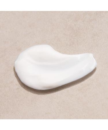 Logona Moisture Lift moisturizing cream 50 ml - Buy Online on GoSupps.com