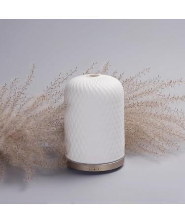 Luxelinc ceramic diffuser diffusers for essential oils large rooms essential oils diffusers with USB cable warm ambient light aromatherapy diffuser home decoration choice of gift/opulent garden