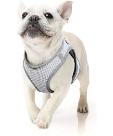 Buy Heele Small Soft Dog Dishes & Adjustable Harness Vest - Air Mesh Reflective Design for Walking Training - XS Size - International Shipping - Buy Online on GoSupps.com