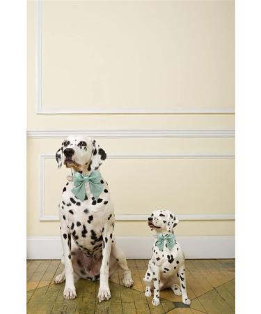Unique Style Paws Silk Green Dog Hall Band - Cond-Resistant Wedding Accessory for X-Large Dogs - Buy Online on GoSupps.com