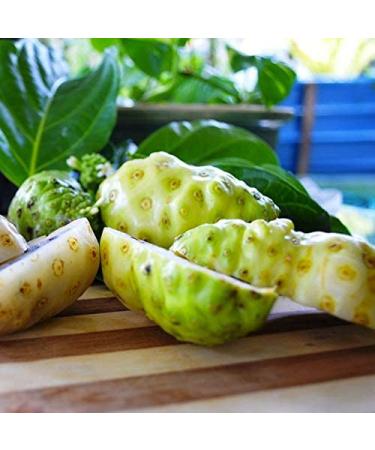 Squeeze Dried Noni to Go Sticks - Hawaiian Noni and Green Tea Blend - Antioxidant-Rich & Immune-Boosting - 30 Count Pack - Buy Online on GoSupps.com