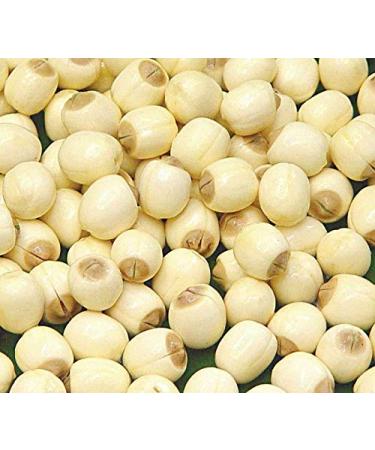Balsara's Dried Lotus Seeds Edible 50g Vegetarian Lotus Nuts Cooking Ingredients Healthy Snack