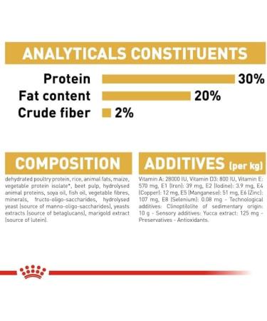 Royal Canin Chihuahua Junior Dog Food 0.5 kg - Buy Online on GoSupps.com