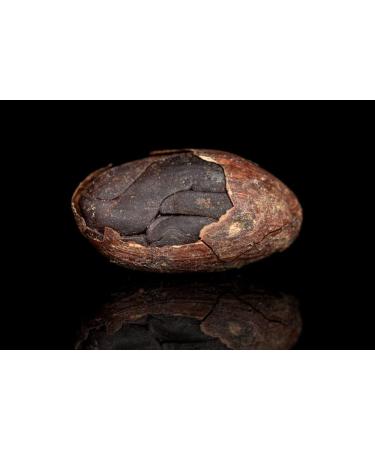 Jeske Sports Supplies Tasty Pott Condiments spices fine food for muesli and papij for baking aromatic flavor organic cocoa nibs not roasted 75 g - Buy Online on GoSupps.com