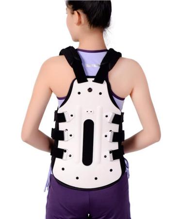 Dameco Lumbar Spine Orthosis - Breathable Thoracolumbal Bracket for Men & Women | Lightweight & Comfortable Support - Buy Online on GoSupps.com