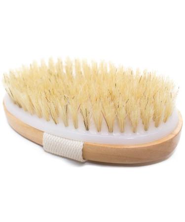 Ana Wiz Wooden Body Brush | Natural Boar Bristles & Lotus Wood Handle - International Shipping Available - Buy Online on GoSupps.com