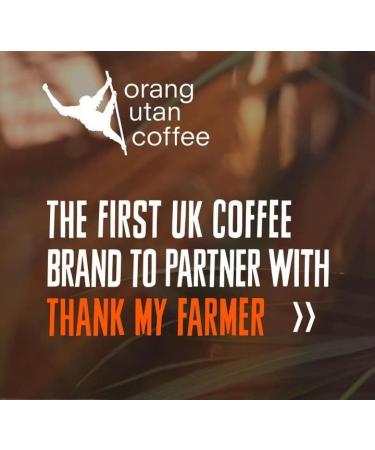 Orangutan Coffee Sumatran Fresh Ground Coffee Bags 100% Arabica (40 Coffee Bags) - Buy Online on GoSupps.com