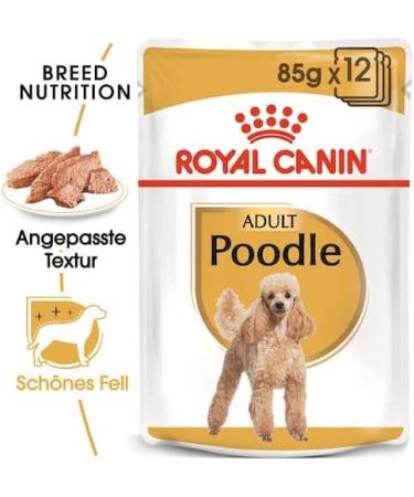 Royal Canin Poodle Adult | Double Pack | 2 x 12 x 85 g | Wet food for adult poodles | To support the coat | Optimal daily nutrition | From the 10th month of life - Buy Online on GoSupps.com