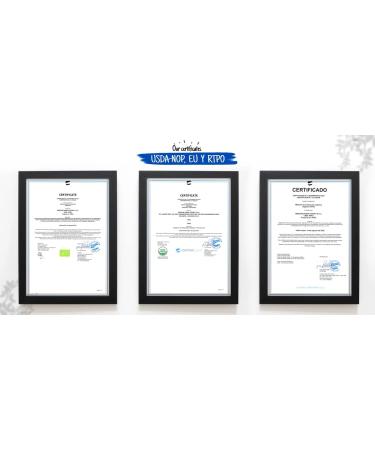 Organic Amazon Andes Brazil Nuts Oil Softgel Capsules 500mg x 100 - Selenium & Zinc Rich, Vegan, Non-GMO, Gluten-Free - Buy Online on GoSupps.com