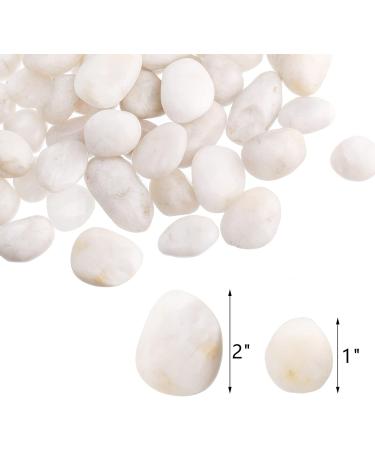 Dicunoy White Decorative Stones - 2.7kg Natural Polished Rocks for Plants Landscape Design Vase Filler Aquarium 2-5 cm - Buy Online on GoSupps.com