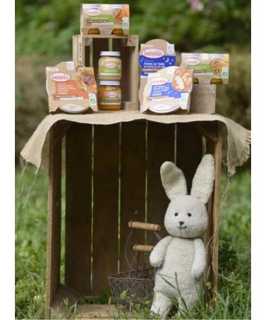 Babybio - Small Pots Carrot Squash Butternut Chicken Rice 2x200g - 6+ Months - Organic - Pack of 6 - Buy Online on GoSupps.com