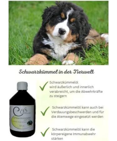Barbara Seitz Black Cumin Oil for Animals 500ml - Pure Oil for Dogs & Horses | Skin & Coat Care without Additives - Buy Online on GoSupps.com