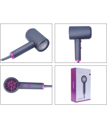 Hair Dryer Professional 1600W Hair dryers Ionic Salon Hairdryer 2 Speed and Cool Shot Button DC Motor Blow Dryer with Concentrator Fast Drying Time Reduce Frizz and Static Anti for Hair Salon Small - Buy Online on GoSupps.com