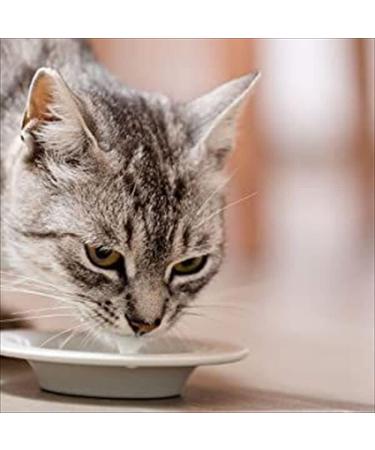 Vet's Best Cat Toothpaste - Dental Care Gel Kit for Fresh Breath & Teeth Cleaning | 140g - Buy Online on GoSupps.com