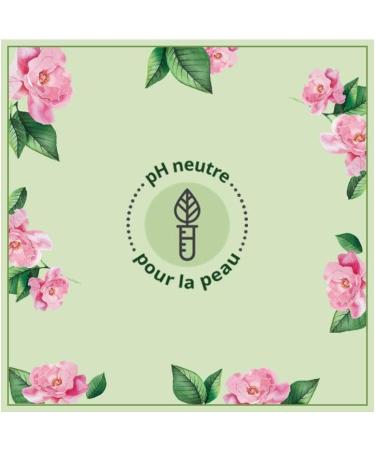 Le Petit Marseillais Refreshing Shower Gel Wild Rose Eco Refill Organic 250ml - Buy Online on GoSupps.com