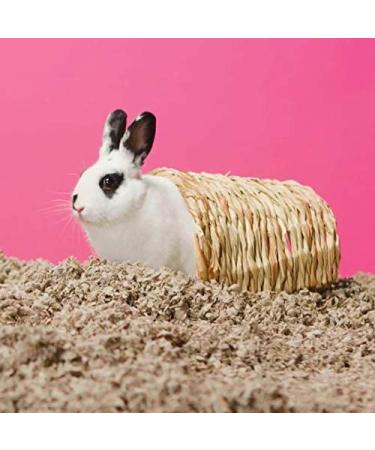 carefresh 99% Dust-Free Small Pet Bedding with Odor Control - 14 L - Buy Online on GoSupps.com