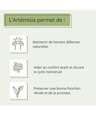 Artemisia Vulgaris - 150 Vegetable Capsules - 100% Pure Artemisia - Made in France Le Pr Vert - Buy Online on GoSupps.com