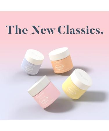 Lanocreme New Zealand Lanolin Face Cream with Placental Protein 100g ( Pack of 3) - Buy Online on GoSupps.com