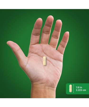 Piping Rock Artichoke Extract 8000mg | 200 Capsules - Gluten Free & Non-GMO - Buy Online on GoSupps.com