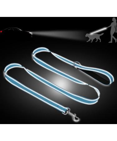 Taglory Reflective Dog Leash for Medium & Large Dogs - Padded Handle Supports 10-75kg 1.2m x 2.5cm Himmel Blue - Perfect for International Shipping - Buy Online on GoSupps.com