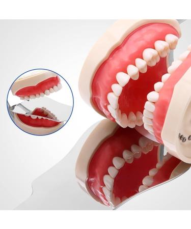 Kuuy Stainless Steel Dental Occlusal Photographic Mouth Mirror | Orthodontic Reflector & Oral Photoreflector for Dentistry - Buy Online on GoSupps.com