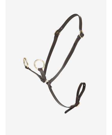 Buy LeMieux Toy Pony Martingale - Brown/Black Leather Accessory | One Size | International Shipping Available - Buy Online on GoSupps.com
