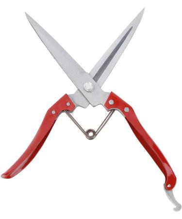Buy Akozone Sheep Scissors - Manual Stainless Steel Sheep Shears & Wool Trimmers for Goats - Buy Online on GoSupps.com