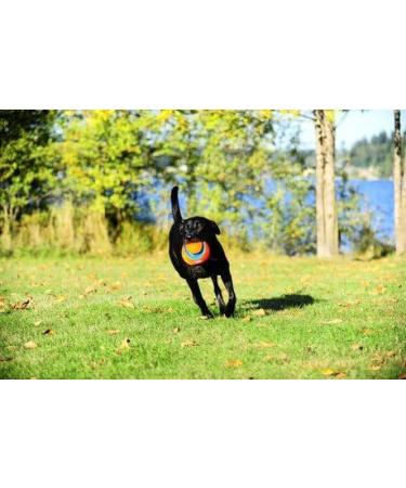 Buy ChuckIt Kick Fetch Floating Dog Toy Ball 19 cm - Large | Netproshop International Shipping - Buy Online on GoSupps.com