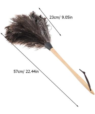 Feather Duster Genuine Ostrich Feathers with Wooden Handle and Reusable Handheld Ostrich Feather Duster Duster for Blinds Kitchen Keyboard Office - Buy Online on GoSupps.com