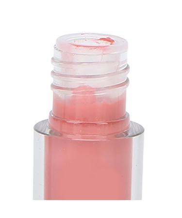 Buy Safe & Harmless Lip Polish - Non-Fading Matte Texture for Daily Use | Perfect Gift Set - 4 Boxes - Buy Online on GoSupps.com