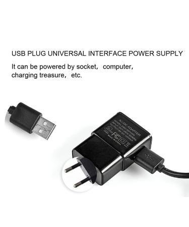 Premium Nail Art Grinding Pin | Free Setting Tool for Manicure | Home & Salon Use (100-240V European Standard) - Buy Online on GoSupps.com