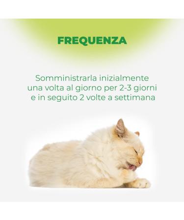  Remover (3480) Cleansing paste from Italy 20 g - Buy Online on GoSupps.com