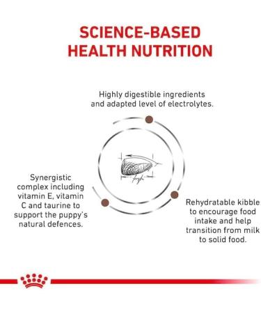 ROYAL CANIN Gastro Intestinal Puppy Dog (GIJ 29) - 1kg - Buy Online on GoSupps.com
