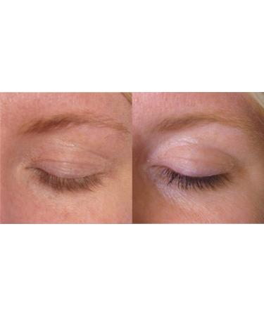 Eyebrow & Eyelash Color Set - Complete Tinting System for 10-12 Treatments | Intensive Brown Color Easy to Use Long-Lasting - Buy Online on GoSupps.com