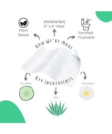 Stall Mates Flushable Wipes - Unscented with Vitamin-E & Aloe (30 Singles) - Travel Size - Buy Online on GoSupps.com