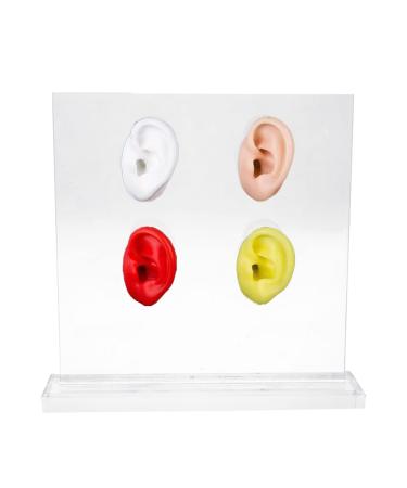 Soft Silicone Flexible Model Body Part Displays Acupuncture Human Four-Ear Model for Jewelry Display Teaching Tool