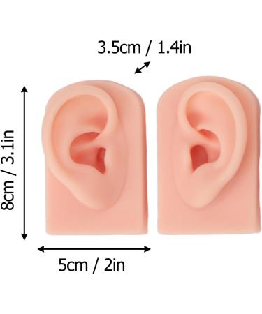 Waterproof Human Ear Model Set - 3 Pairs for Beauty Salon | Simulation Ear Model - Buy Online on GoSupps.com